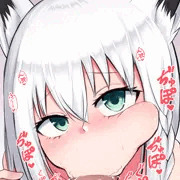 fbkちゃん