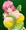 ライカ