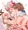 しまつゆき
