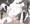 まぐろちゃん