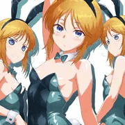 バニープルシリーズ