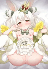 バニーカクタス