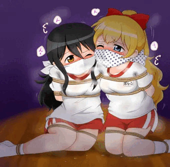 夢香とマリルの猿ぐつわぐしぐし