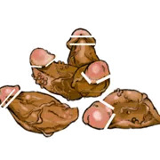 ちんぽ