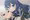 FE ルキナ×カムイ