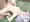 コッコロ１３
