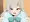 宣伝