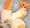 キンシコシコ
