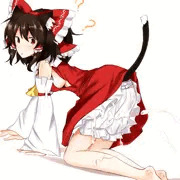 ドロワもおかず