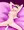 目隠し