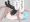 どうぶつなかよししろフーロン……