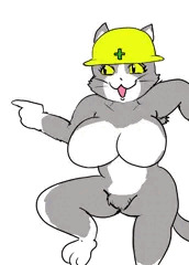 ゲンバヌコ♀