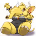 エレファントクッパ姫