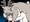 トナカイ