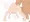 アナルフィストGIF