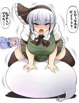 妖夢とバランスボール