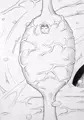 肉繭セーラー戦士