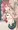 春香ちゃん
