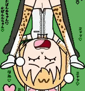さーかば