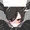 イナズマイレブン