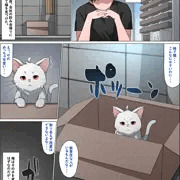捨て猫を拾ったら。
