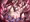 水本ゆかり
