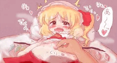 フランちゃんのおへそ掃除