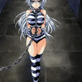 魔砲使い黒姫　連行