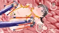 放課後退魔官ナツミ－廃屋の淫魔－全編★発売中