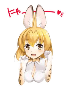 猫の日ですってー(*´ω｀*)