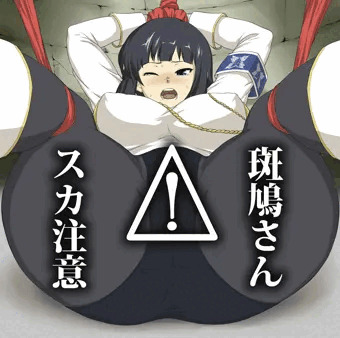 【スカ注意】斑鳩さん