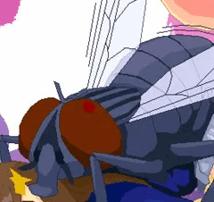 蟲姦