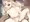 にゃ