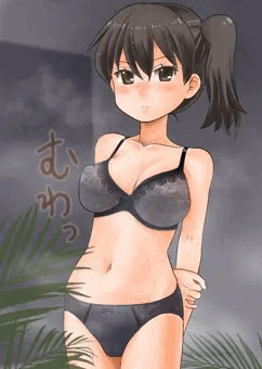 「加賀さん」ちゃん