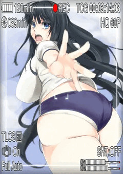 ブルマ斑鳩