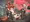 コッコ・ルピコ