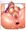 子宮描写もあります
