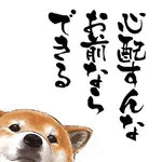 犬あき