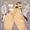 特濃ミルクダイレクトサーバー