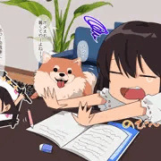 犬活4