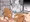 haydeeアナルセックス