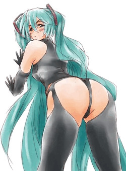 ミクさんにえっちなコスを着てもらった