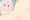 うちの子