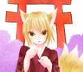 こんこん