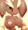 ミミロっぱい
