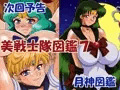 次回作は「美戦士隊図鑑７」です