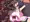 GECG集