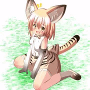 スナネコ