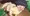 ヒマワリと犬のアナルSEX2