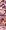 リリスのバレンタインの認識